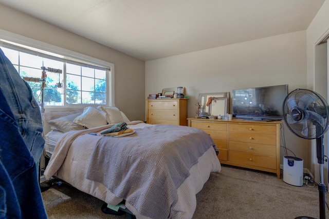 37153/55 Siskiyou St, Burney, CA 96028 - bedroom with light colored carpet