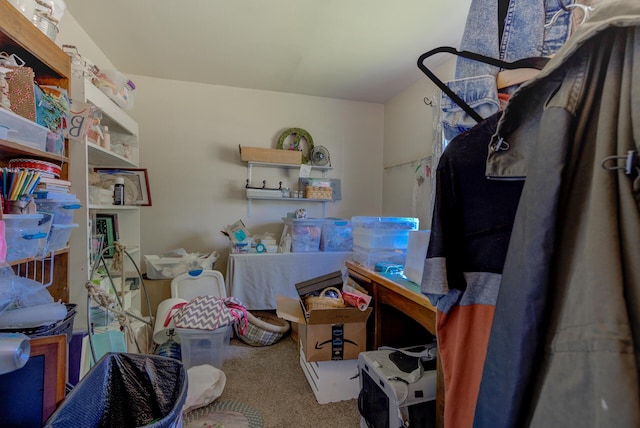 37153/55 Siskiyou St, Burney, CA 96028 - view of storage area