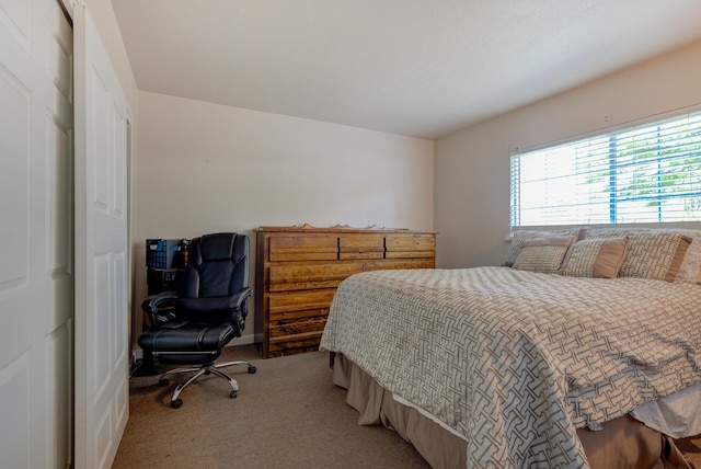 37153/55 Siskiyou St, Burney, CA 96028 - bedroom with light carpet