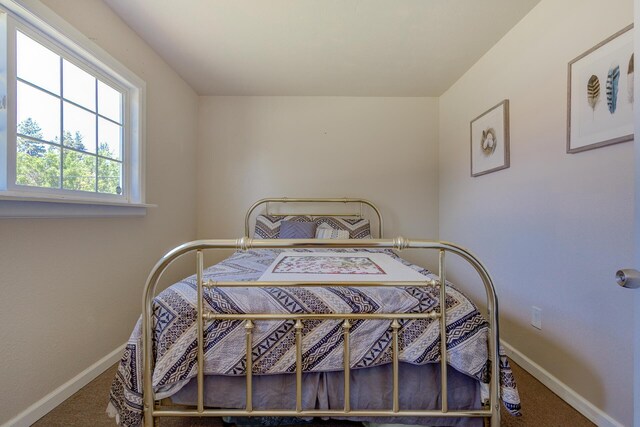 37153/55 Siskiyou St, Burney, CA 96028 - bedroom with carpet flooring and baseboards