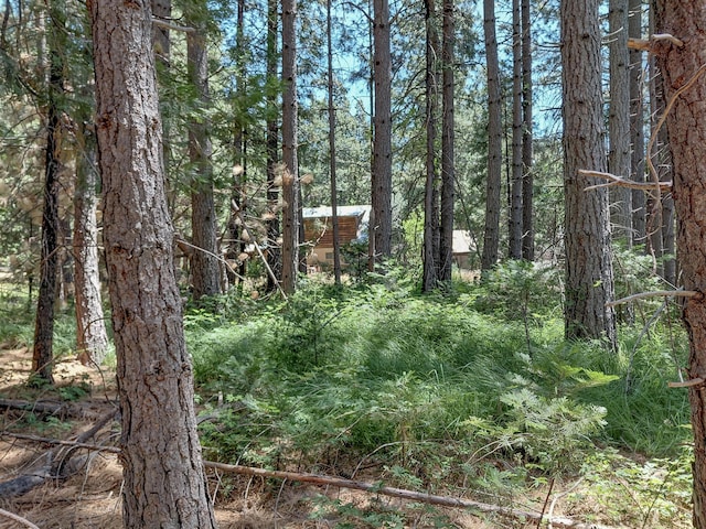 7344 Cedar Meadows Ln, Shingletown, CA 96088 - photo 38