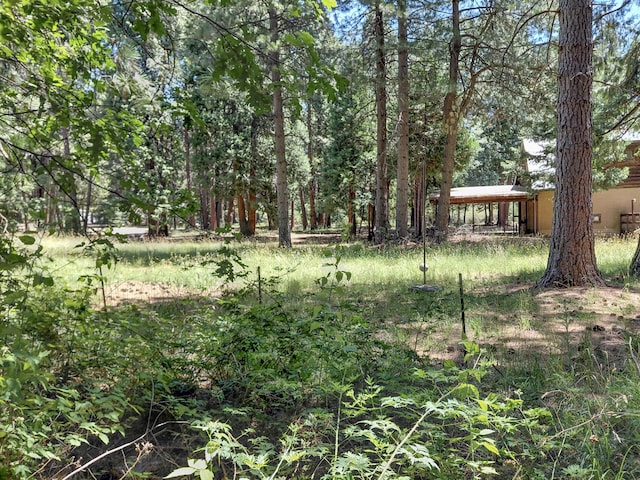 7344 Cedar Meadows Ln, Shingletown, CA 96088 - photo 37