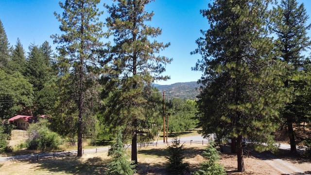290 Mountain View Dr, Lewiston, CA 96052 - view of mountain backdrop with a heavily wooded area