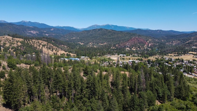290 Mountain View Dr, Lewiston, CA 96052 - view of mountain background with a heavily wooded area