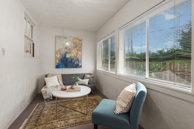21552157 Butte St, Redding, CA 96003 - living area featuring carpet floors
