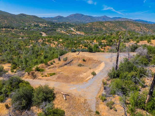 10220 Kangaroo Mine Rd, Redding, CA 96001
