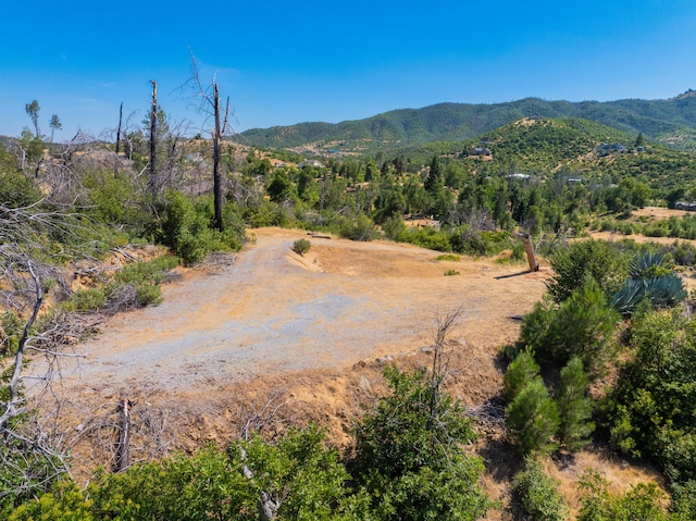 10220 Kangaroo Mine Rd, Redding, CA 96001