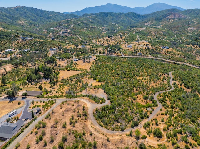 10220 Kangaroo Mine Rd, Redding, CA 96001