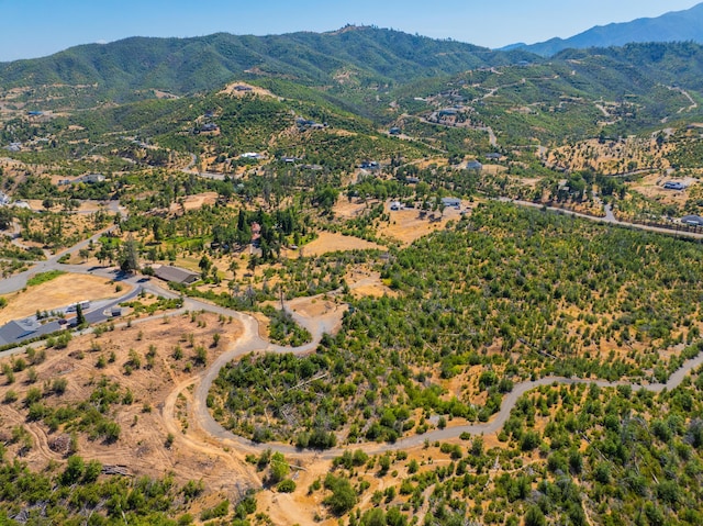 10220 Kangaroo Mine Rd, Redding, CA 96001