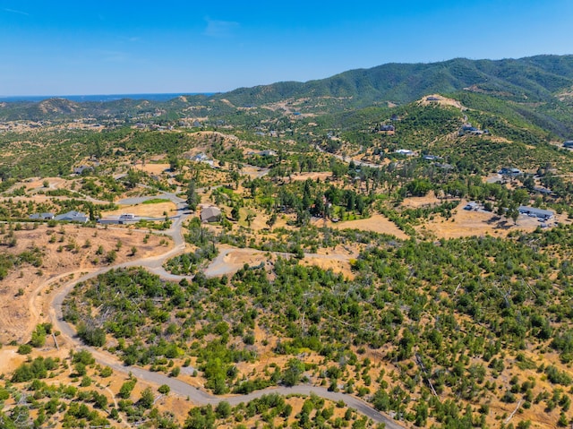 10220 Kangaroo Mine Rd, Redding, CA 96001