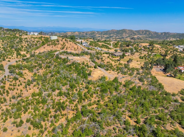 10220 Kangaroo Mine Rd, Redding, CA 96001