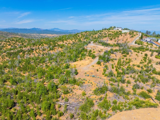 10220 Kangaroo Mine Rd, Redding, CA 96001