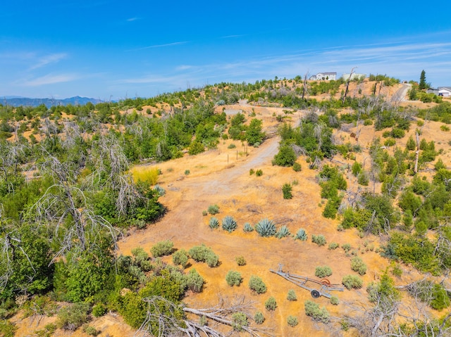 10220 Kangaroo Mine Rd, Redding, CA 96001