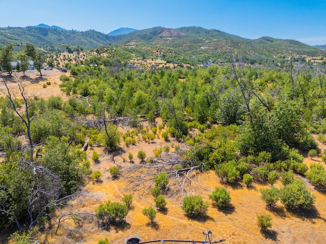10220 Kangaroo Mine Rd, Redding, CA 96001