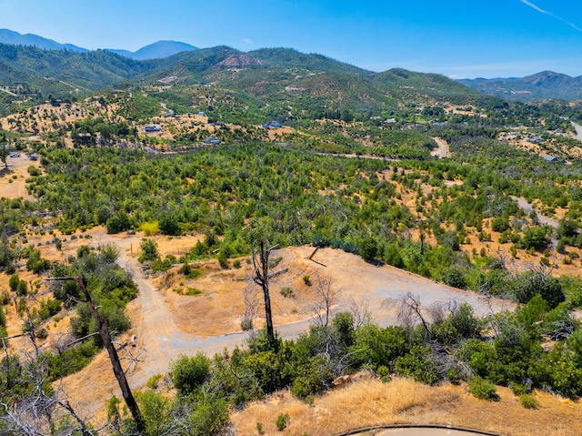 10220 Kangaroo Mine Rd, Redding, CA 96001