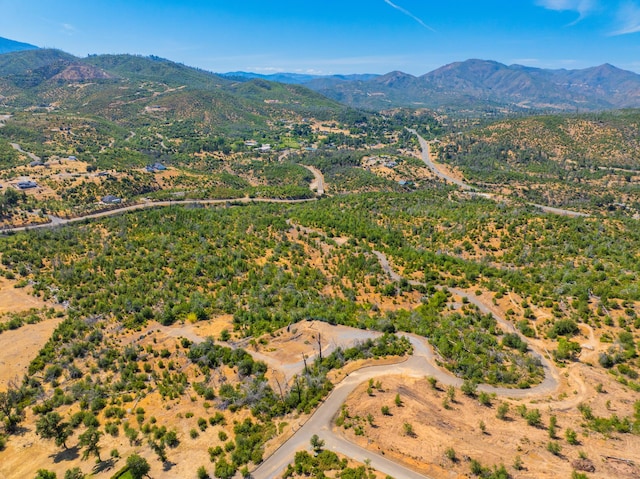 10220 Kangaroo Mine Rd, Redding, CA 96001