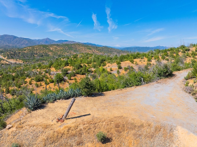 10220 Kangaroo Mine Rd, Redding, CA 96001