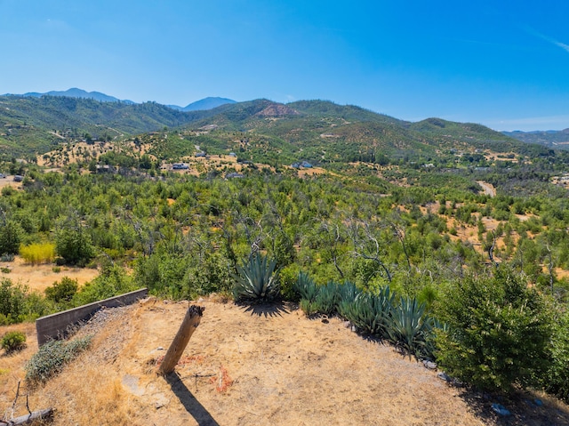 10220 Kangaroo Mine Rd, Redding, CA 96001