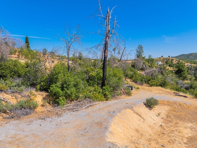 10220 Kangaroo Mine Rd, Redding, CA 96001