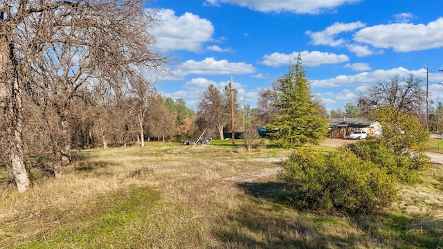 3550 Oasis Rd, Redding, CA 96003 - photo 10