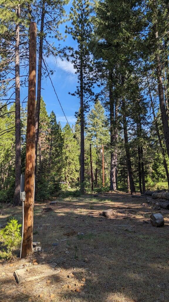 7693 Linda Rd, Shingletown, CA 96088