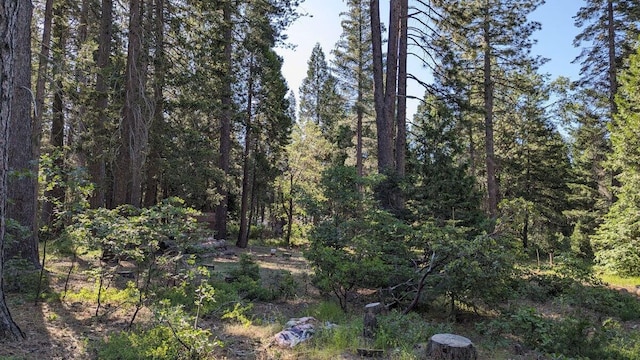 7693 Linda Rd, Shingletown, CA 96088