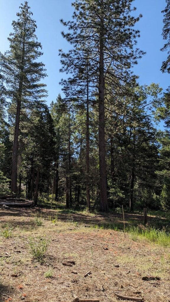 7693 Linda Rd, Shingletown, CA 96088