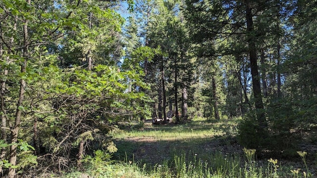 7693 Linda Rd, Shingletown, CA 96088