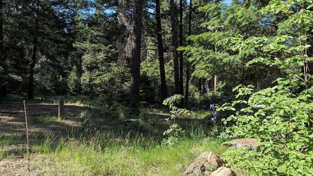 7693 Linda Rd, Shingletown, CA 96088