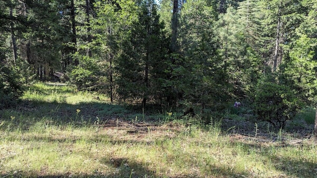 7693 Linda Rd, Shingletown, CA 96088