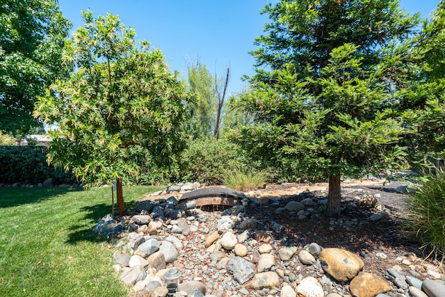3388 Oak St, Anderson, CA 96007 - view of grassy yard