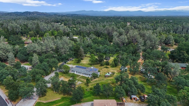 13354 Kings Way, Redding, CA 96003 - view of property location featuring a forest