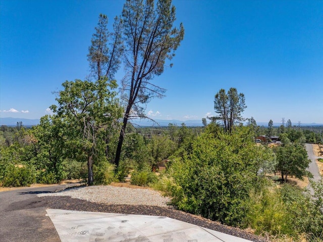 16520 Blarney Ln, Redding, CA 96001 - view of yard with a forest view