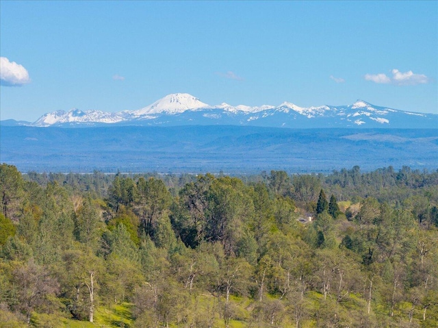 006 Old Oregon Trl, Redding, CA 96003 - photo 14