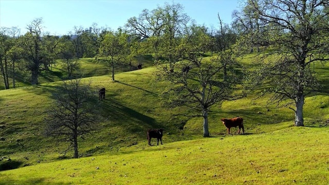 006 Old Oregon Trl, Redding, CA 96003 - photo 11