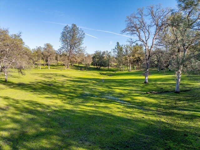 006 Old Oregon Trl, Redding, CA 96003 - photo 10