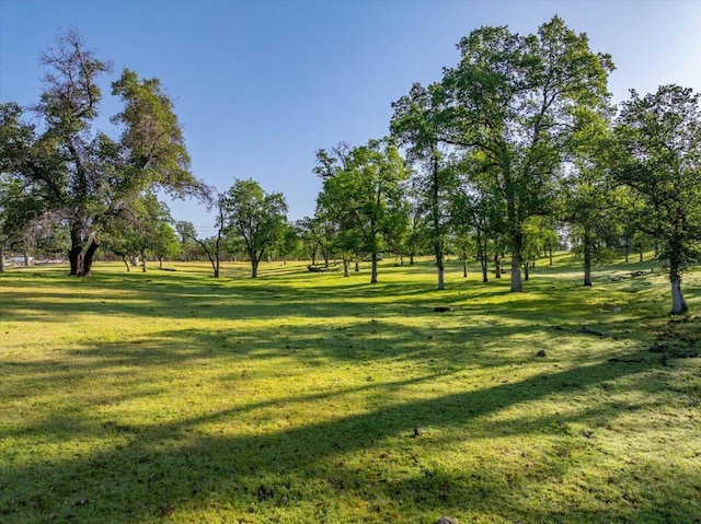 006 Old Oregon Trl, Redding, CA 96003 - photo 6