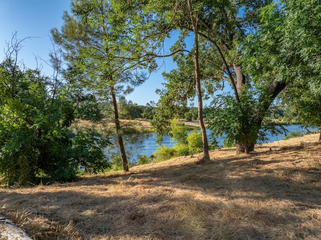 15460 China Rapids Dr, Red Bluff, CA 96080