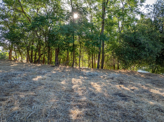 15460 China Rapids Dr, Red Bluff, CA 96080