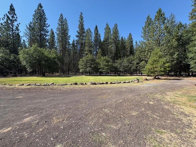 40596 Old School Rd, Fall River Mills, CA 96028 - photo 5