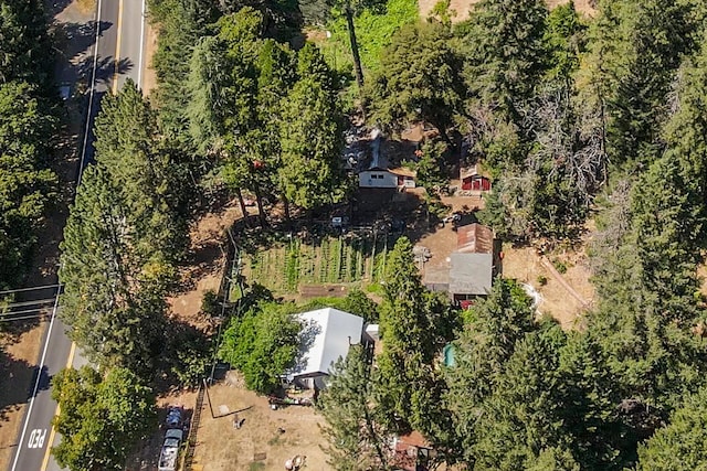 100 Wonder Stamp Ln, Big Bar, CA 96010 - photo 6