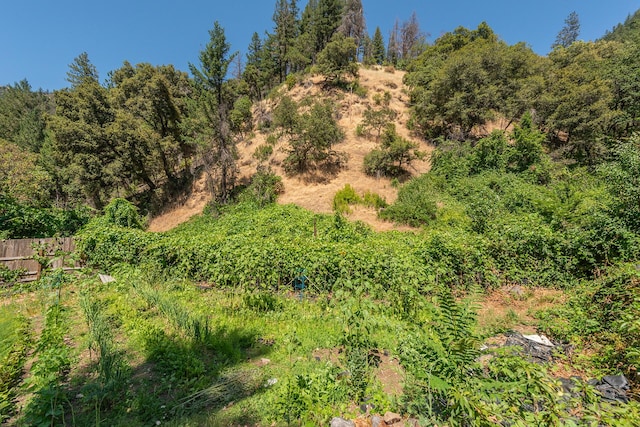 100 Wonder Stamp Ln, Big Bar, CA 96010 - photo 33