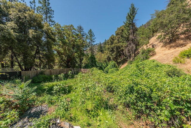 100 Wonder Stamp Ln, Big Bar, CA 96010 - photo 34