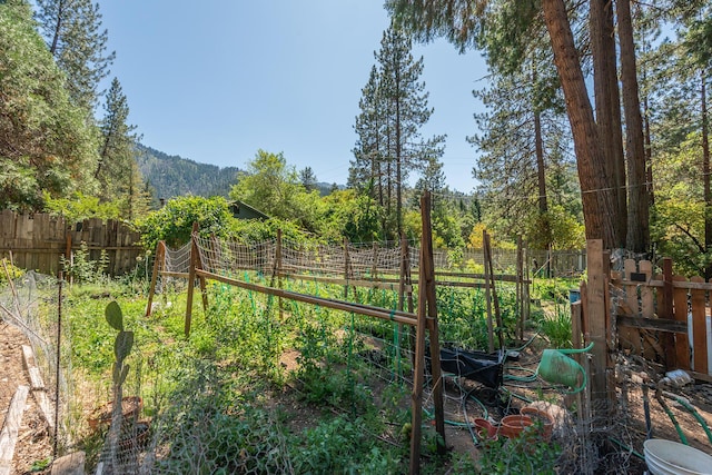 100 Wonder Stamp Ln, Big Bar, CA 96010 - photo 39