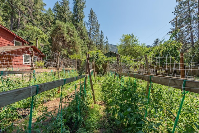 100 Wonder Stamp Ln, Big Bar, CA 96010 - photo 41