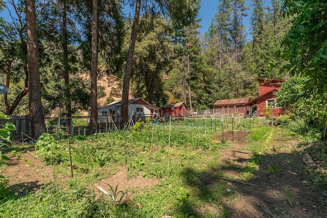 100 Wonder Stamp Ln, Big Bar, CA 96010 - photo 43