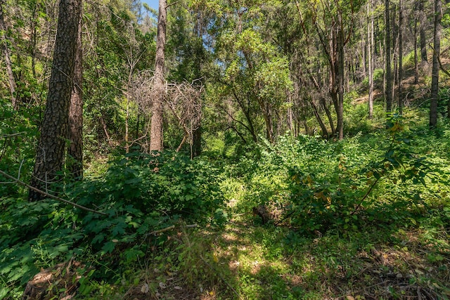100 Wonder Stamp Ln, Big Bar, CA 96010 - photo 49
