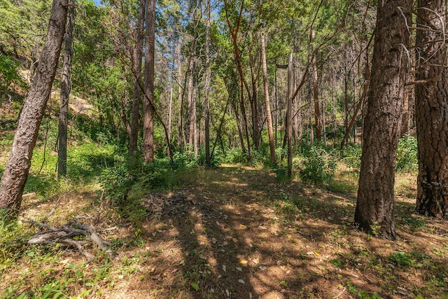 100 Wonder Stamp Ln, Big Bar, CA 96010 - photo 50