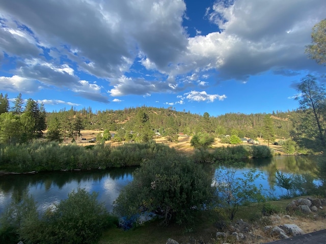 61 Chief George, Lewiston, CA 96052 - photo 4