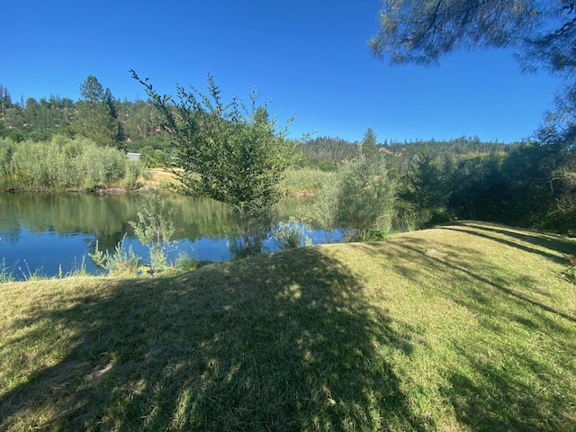 61 Chief George, Lewiston, CA 96052 - photo 11